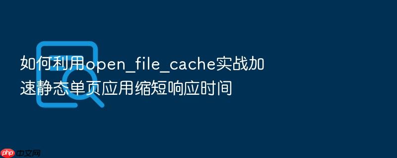如何利用open_file_cache实战加速静态单页应用缩短响应时间