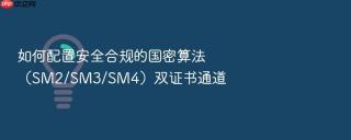 如何配置安全合规的国密算法(sm2/sm3/sm4)双证书通道