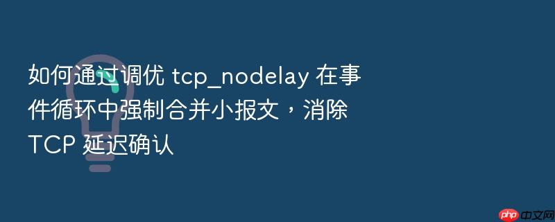 如何通过调优 tcp_nodelay 在事件循环中强制合并小报文,消除 tcp 延迟确认