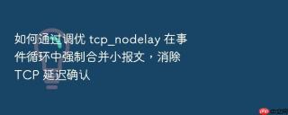 如何通过调优 tcp_nodelay 在事件循环中强制合并小报文，消除 tcp 延迟确认