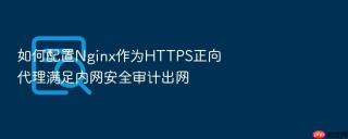 如何配置nginx作为https正向代理满足内网安全审计出网