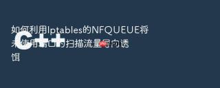 如何利用iptables的nfqueue将未使用端口的扫描流量导向诱饵