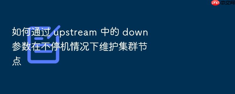 如何通过 upstream 中的 down 参数在不停机情况下维护集群节点