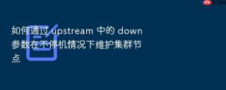 如何通过 upstream 中的 down 参数在不停机情况下维护集群节点