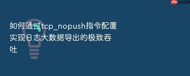 如何通过tcp_nopush指令配置实现日志大数据导出的极致吞吐