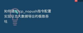 如何通过tcp_nopush指令配置实现日志大数据导出的极致吞吐
