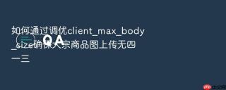 如何通过调优client_max_body_size确保大宗商品图上传无四一三