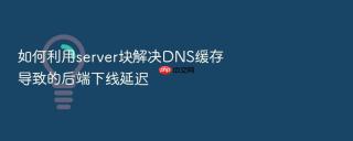 如何利用server块解决dns缓存导致的后端下线延迟