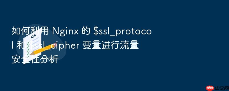 如何利用 nginx 的 $ssl_protocol 和 $ssl_cipher 变量进行流量安全性分析