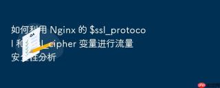 如何利用 nginx 的 $ssl_protocol 和 $ssl_cipher 变量进行流量安全性分析
