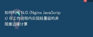 如何利用 NJS (Nginx JavaScript) 在工作进程内实现轻量级的非阻塞边缘计算