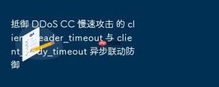 抵御 ddos cc 慢速攻击 的 client_header_timeout 与 client_body_timeout 异步联动防御
