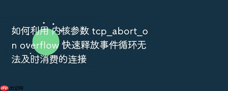 如何利用 内核参数 tcp_abort_on overflow 快速释放事件循环无法及时消费的连接