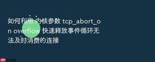 如何利用 内核参数 tcp_abort_on overflow 快速释放事件循环无法及时消费的连接