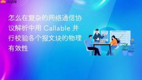 怎么在复杂的网络通信协议解析中用 callable 并行校验各个报文块的物理有效性