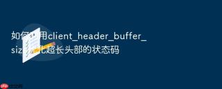 如何利用client_header_buffer_size优化超长头部的状态码