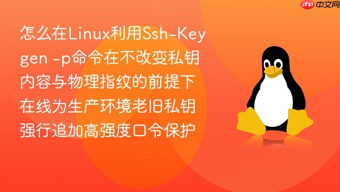 怎么在linux利用ssh-keygen -p命令在不改变私钥内容与物理指纹的前提下在线为生产环境老旧私钥强行追加高强度口令保护