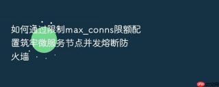 如何通过限制max_conns限额配置筑牢微服务节点并发熔断防火墙
