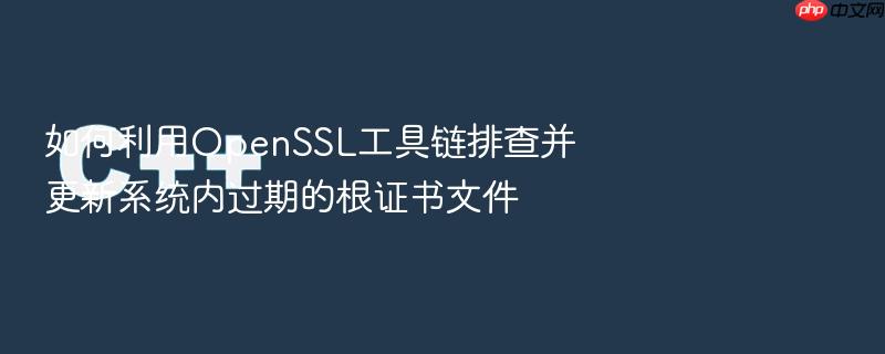如何利用openssl工具链排查并更新系统内过期的根证书文件