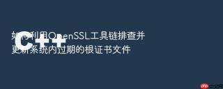 如何利用OpenSSL工具链排查并更新系统内过期的根证书文件