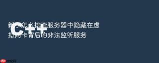 新手怎么排查服务器中隐藏在虚拟网卡背后的非法监听服务