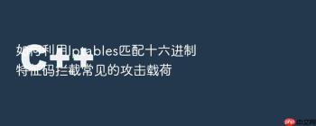 如何利用Iptables匹配十六进制特征码拦截常见的攻击载荷