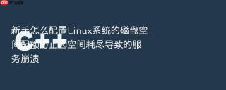 新手怎么配置linux系统的磁盘空间配额防止因空间耗尽导致的服务崩溃