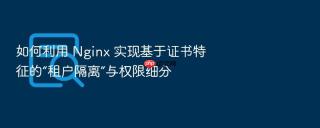 如何利用 nginx 实现基于证书特征的“租户隔离”与权限细分