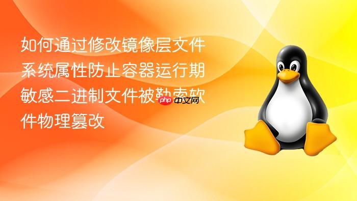 如何通过修改镜像层文件系统属性防止容器运行期敏感二进制文件被勒索软件物理篡改