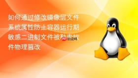 如何通过修改镜像层文件系统属性防止容器运行期敏感二进制文件被勒索软件物理篡改