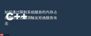 如何通过限制系统服务的内存占用量防止因漏洞触发拒绝服务攻击
