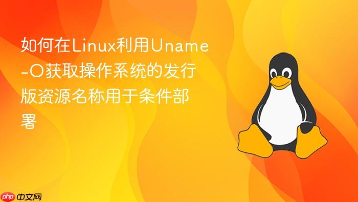 如何在linux利用uname-o获取操作系统的发行版资源名称用于条件部署