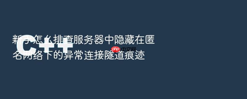 新手怎么排查服务器中隐藏在匿名网络下的异常连接隧道痕迹