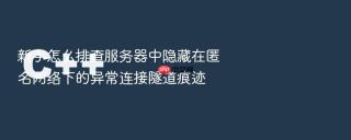 新手怎么排查服务器中隐藏在匿名网络下的异常连接隧道痕迹