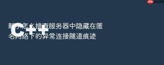 新手怎么排查服务器中隐藏在匿名网络下的异常连接隧道痕迹