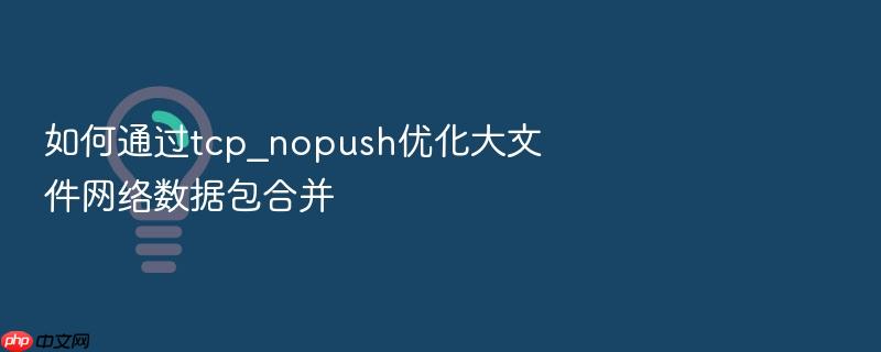 如何通过tcp_nopush优化大文件网络数据包合并