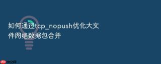 如何通过tcp_nopush优化大文件网络数据包合并