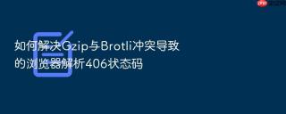 如何解决gzip与brotli冲突导致的浏览器解析406状态码