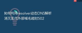如何利用resolver动态dns解析消灭反代外部域名超时502