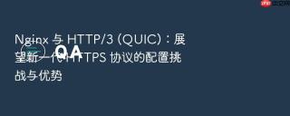 nginx 与 http/3 (quic):展望新一代 https 协议的配置挑战与优势