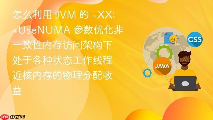 怎么利用 jvm 的 -xx:+usenuma 参数优化非一致性内存访问架构下处于各种状态工作线程近核内存的物理分配收益
