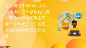 怎么利用 jvm 的 -xx:+usenuma 参数优化非一致性内存访问架构下处于各种状态工作线程近核内存的物理分配收益