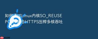 如何通过linux内核so_reuseport配合https压榨多核吞吐