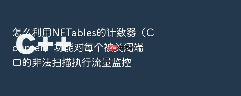 怎么利用nftables的计数器(counter)功能对每个被关闭端口的非法扫描执行流量监控