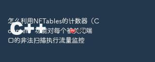 怎么利用nftables的计数器(counter)功能对每个被关闭端口的非法扫描执行流量监控
