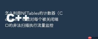 怎么利用NFTables的计数器（Counter）功能对每个被关闭端口的非法扫描执行流量监控