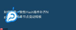 如何利用一致性hash插件补齐nginx原生哈希节点变动短板