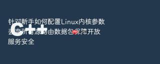 针对新手如何配置Linux内核参数丢弃所有源路由数据包保障开放服务安全