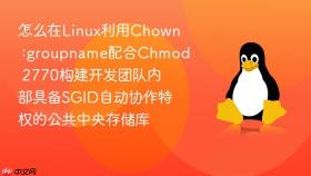 怎么在linux利用chown :groupname配合chmod 2770构建开发团队内部具备sgid自动协作特权的公共中央存储库