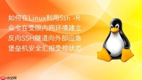 如何在linux利用ssh -r命令在受限内网环境建立反向ssh隧道向外部应急堡垒机安全汇报受控状态